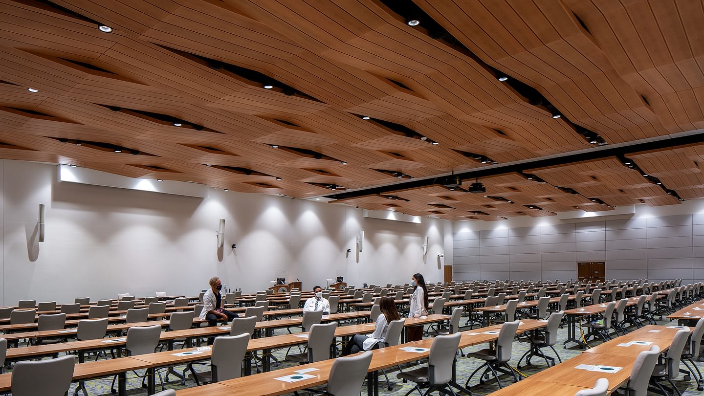 USF Morsani College of Medicine Auditorium