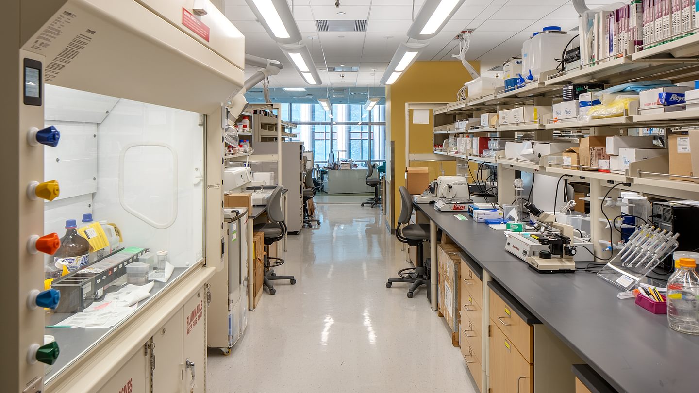 USF Morsani College of Medicine Interior Lab
