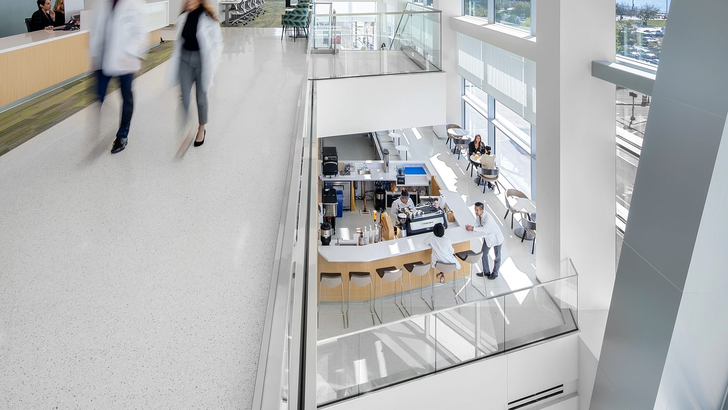 USF Morsani College of Medicine Interior