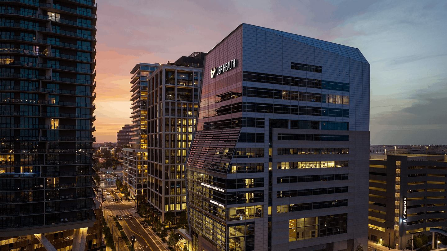 USF Morsani College of Medicine Dusk