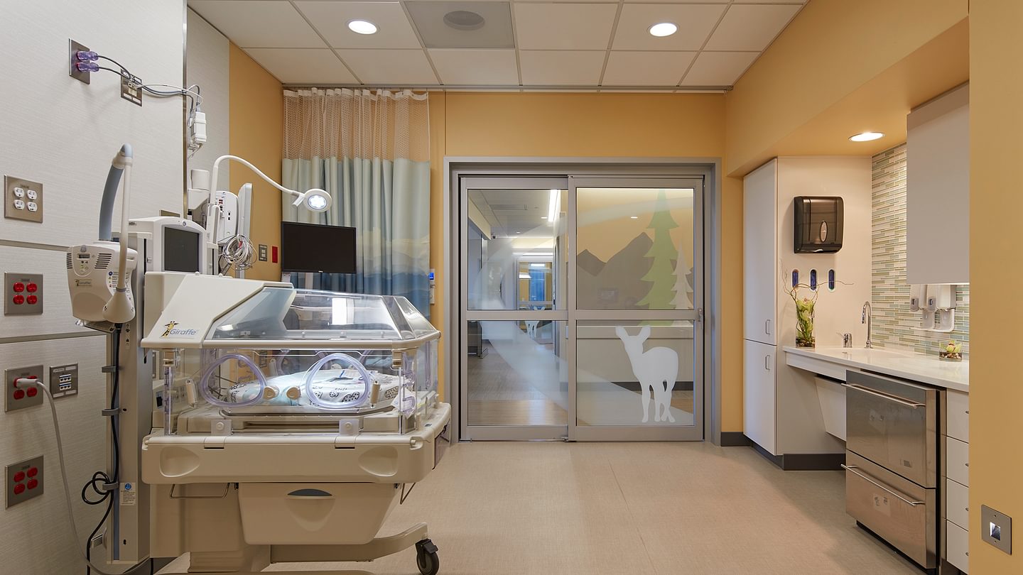 Montana Pediatric Hospital