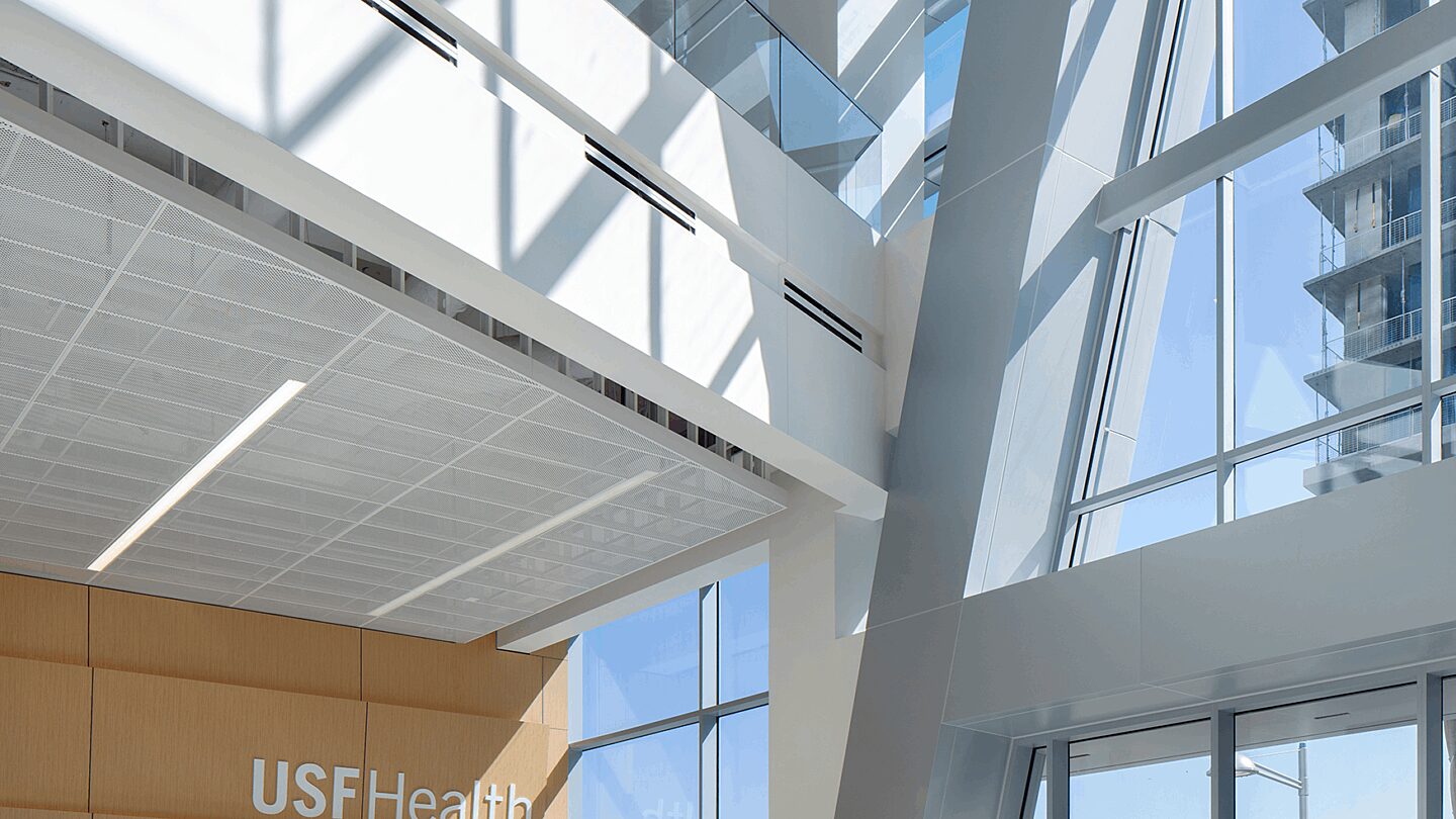 USF Morsani College of Medicine Lobby Portrait